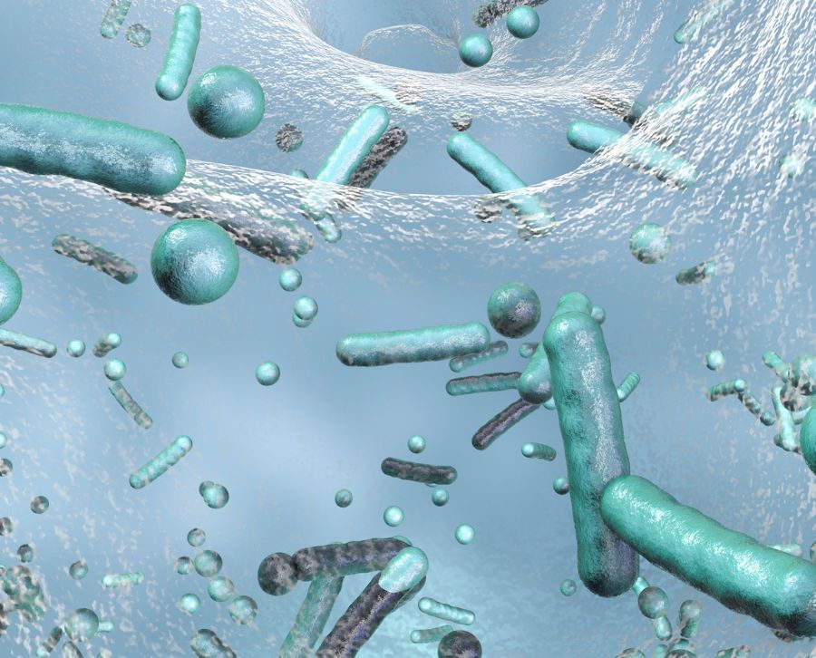 legionella