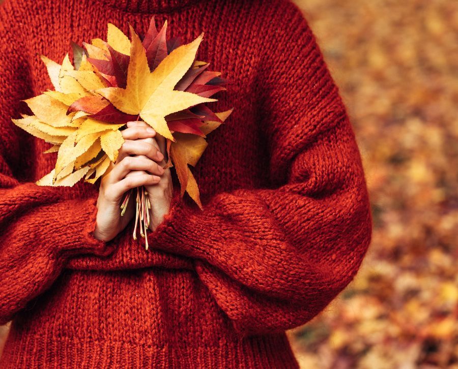 plagas comunes en otoño 